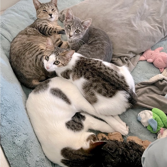 😍See something you must have? - Picture 5 of 16